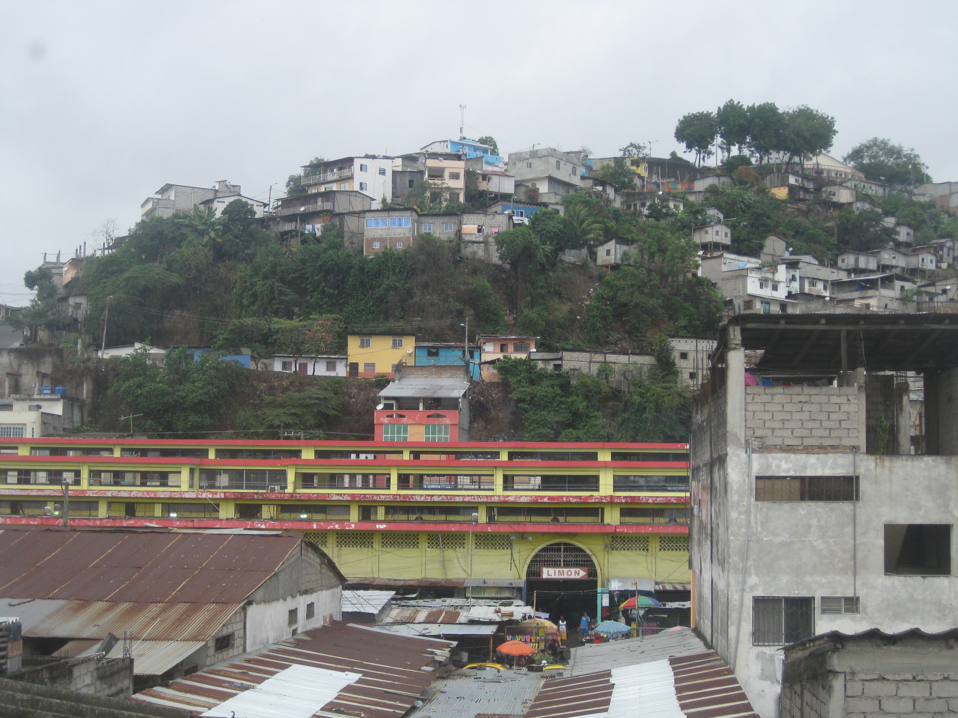 Located in the Center Zone of Esmeraldas, this photo shows some of the inadequacies of the built environment, such as the fragile roofs, vulnerability of houses on a slope, and signs of poor sanitation (visible discards on the slope).